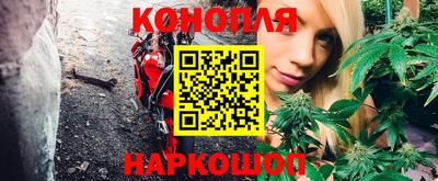 эйфоретик Славгород