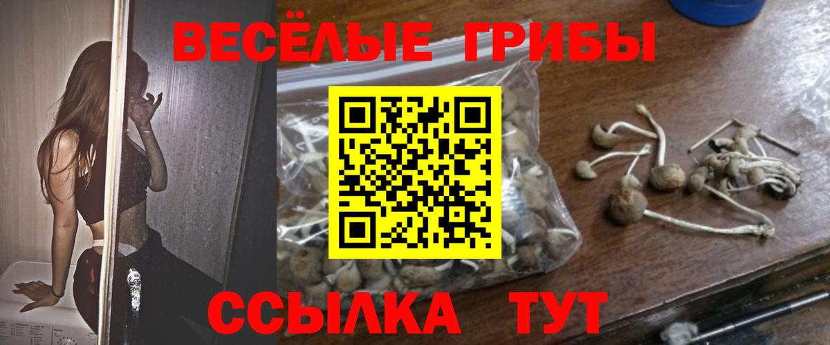 Галлюциногенные грибы MAGIC MUSHROOMS  Вход с VPN  Галлюциногенные грибы Psilocybe  Октябрьский 