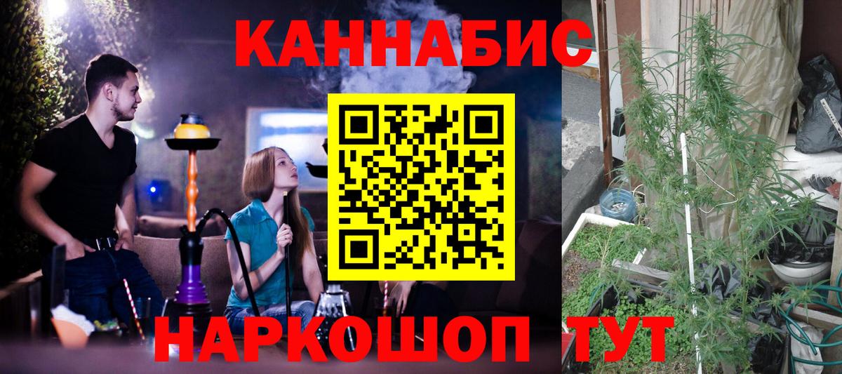 Марихуана сатива Октябрьский